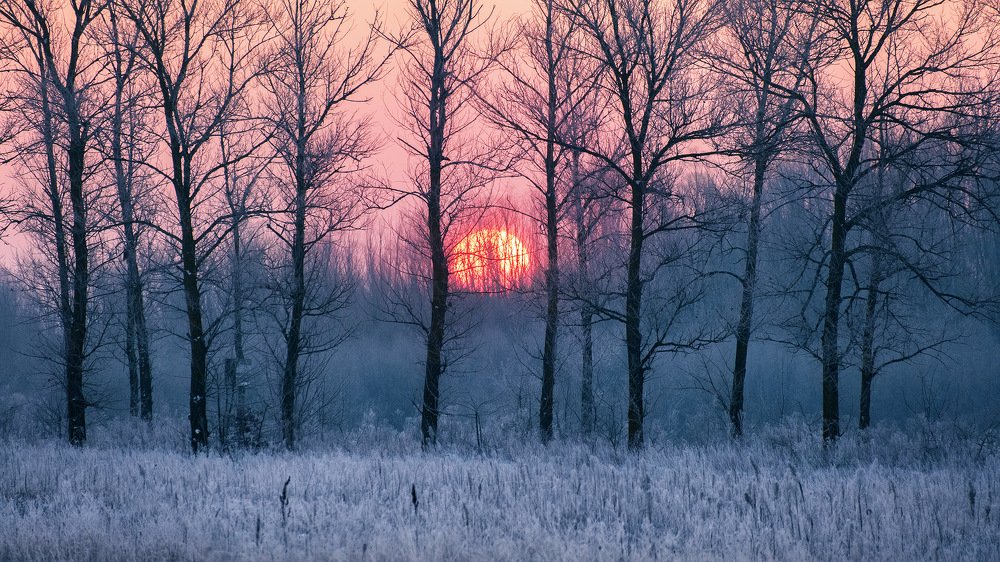 Photograph by Юрий Никитюк