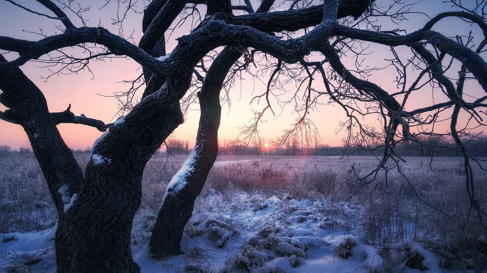 Photograph by Юрий Никитюк