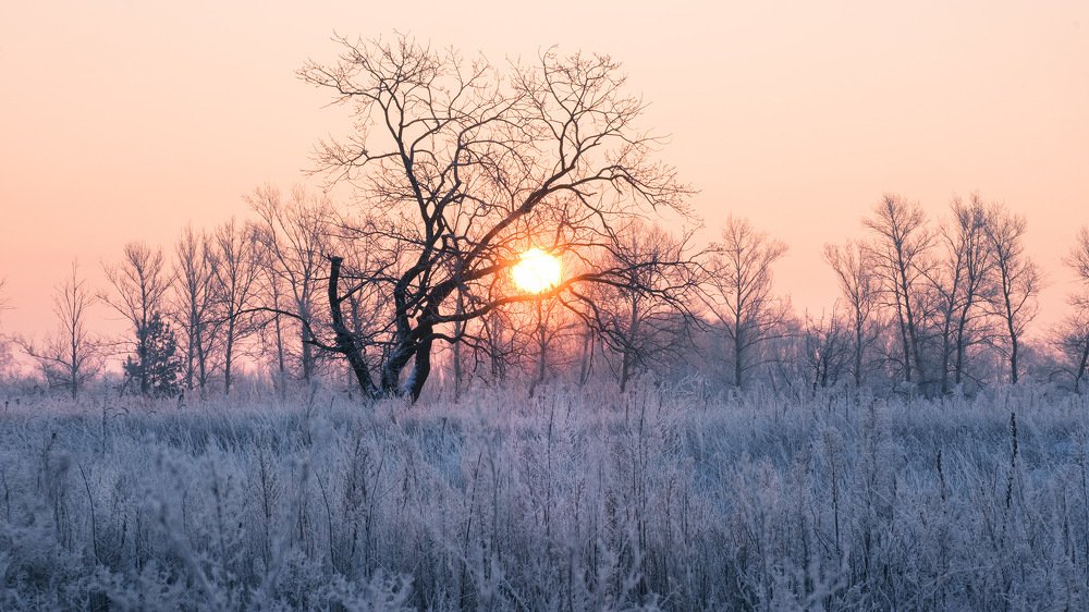 Photograph by Юрий Никитюк
