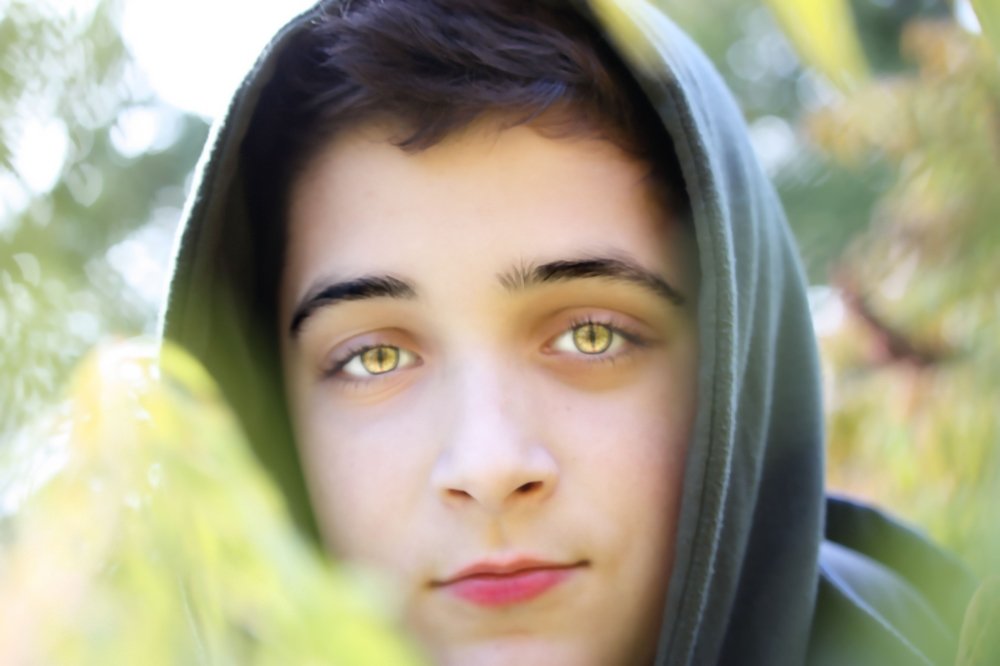 Photograph by Sandor Zoltan Gal