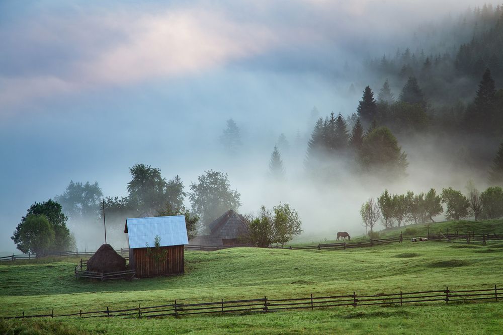 Photograph by Alex Coman