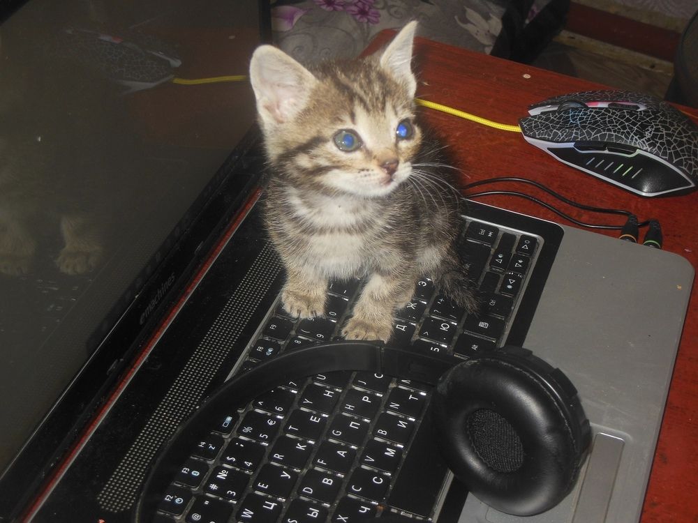 Photograph by Владимир Ложкин