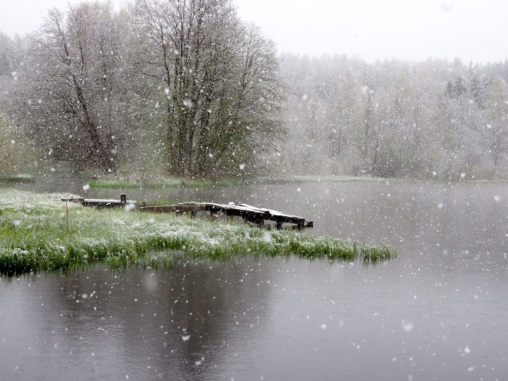 Photograph by Екатерина Шмелева