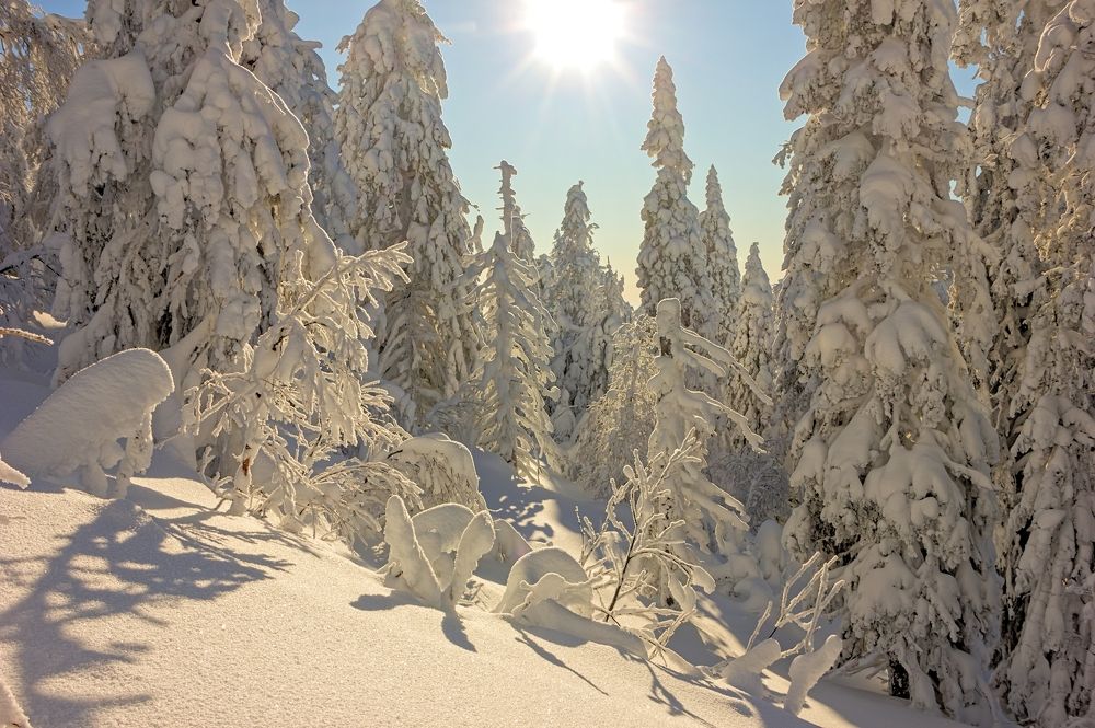 Мороз и солнце.
