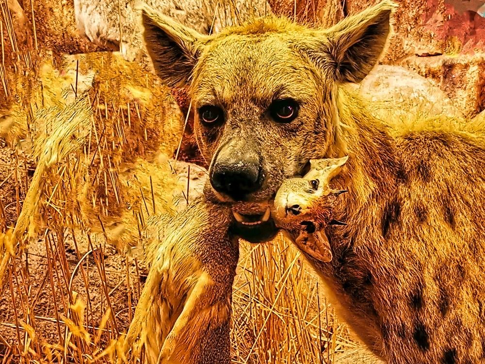 Photograph by Sandor Zoltan Gal