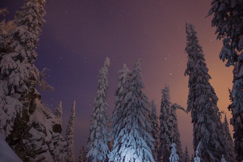 Стражи горы