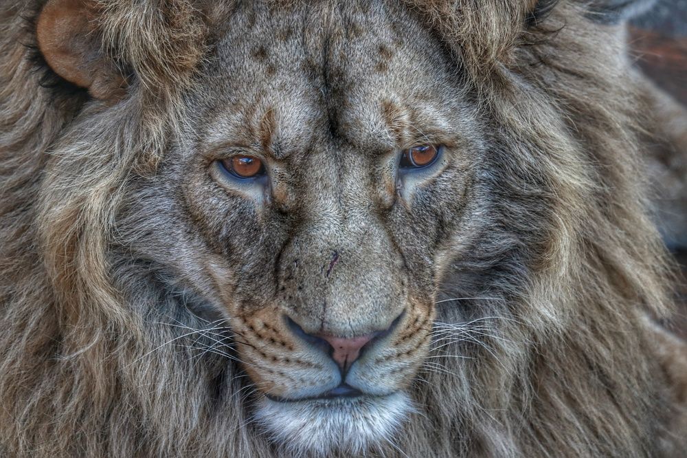 Photograph by Алексей Алексеев