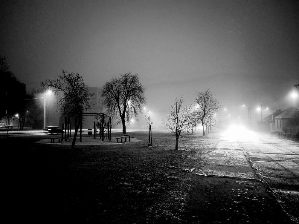 Photograph by Sandor Zoltan Gal