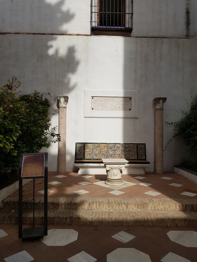 Фотография автора Александра Степанова