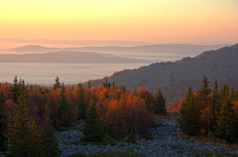 Золото осени
