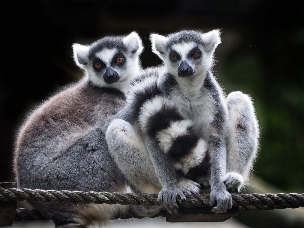 Photograph by Asa Satria Said