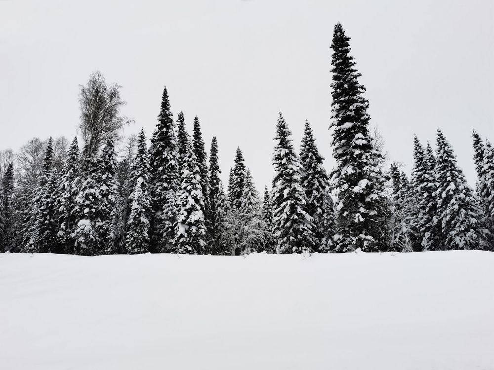 Photo #5560809