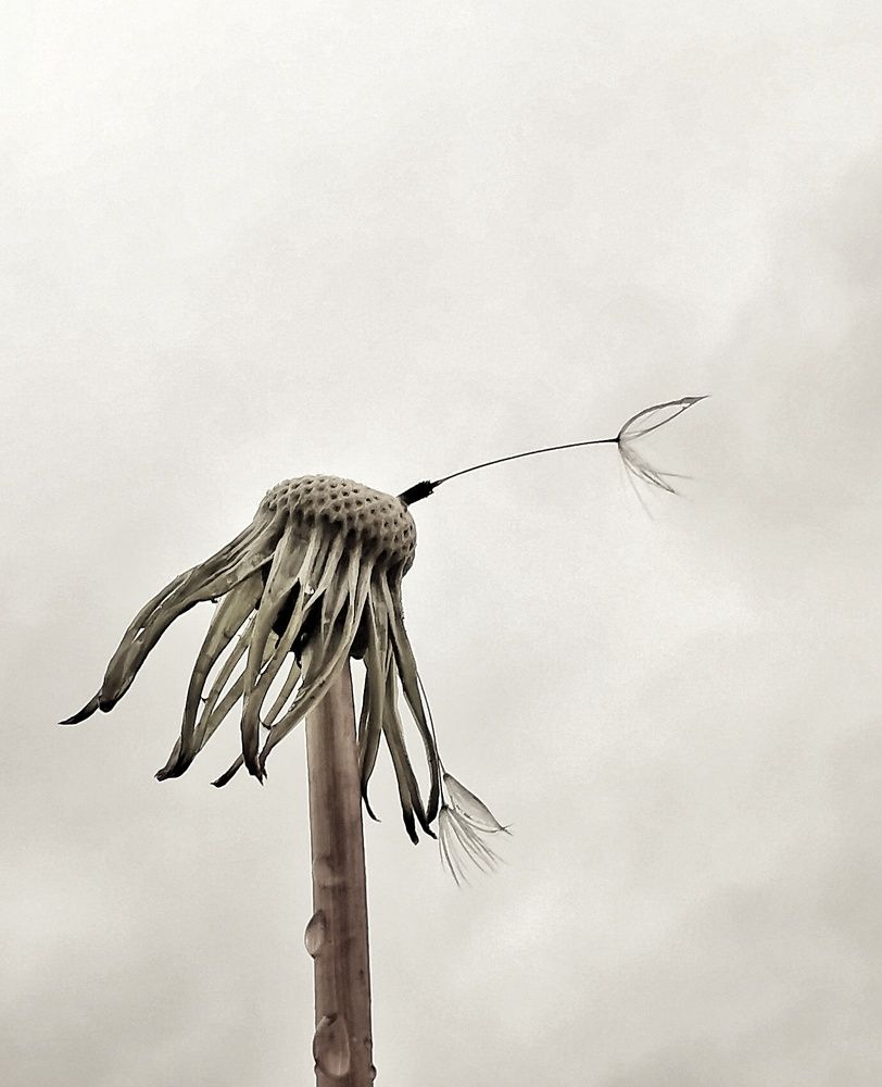 Photograph by Евгения Лушенкова