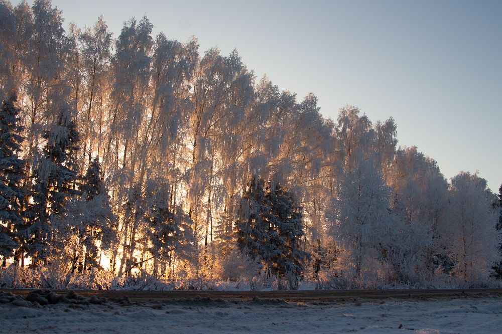Photograph by Ксения Глубокова