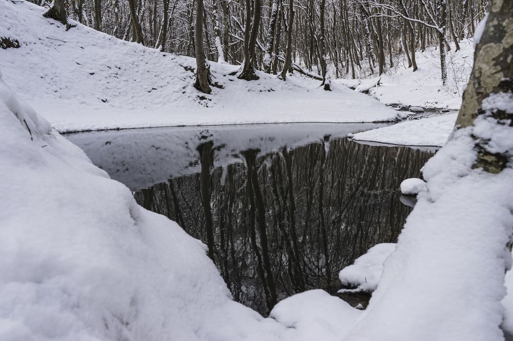 Photograph by Виктор Зотов