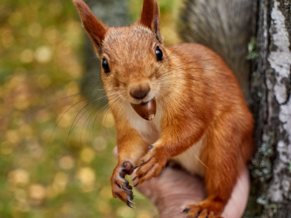 Фотография автора Игорь Игоревич