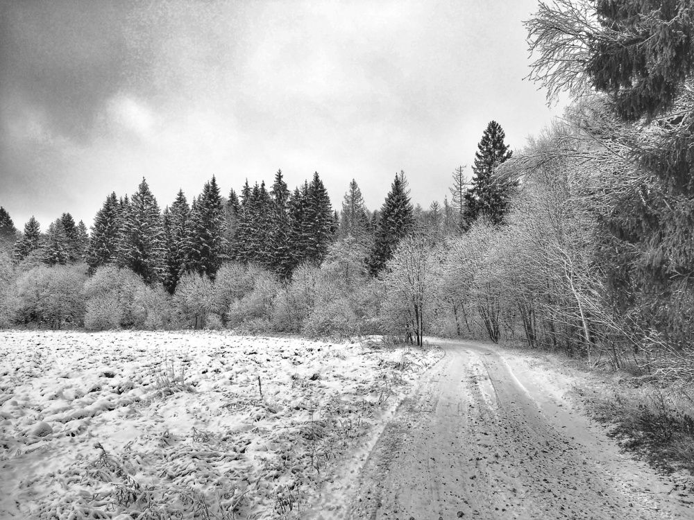 Photograph by Алексей Алексеев