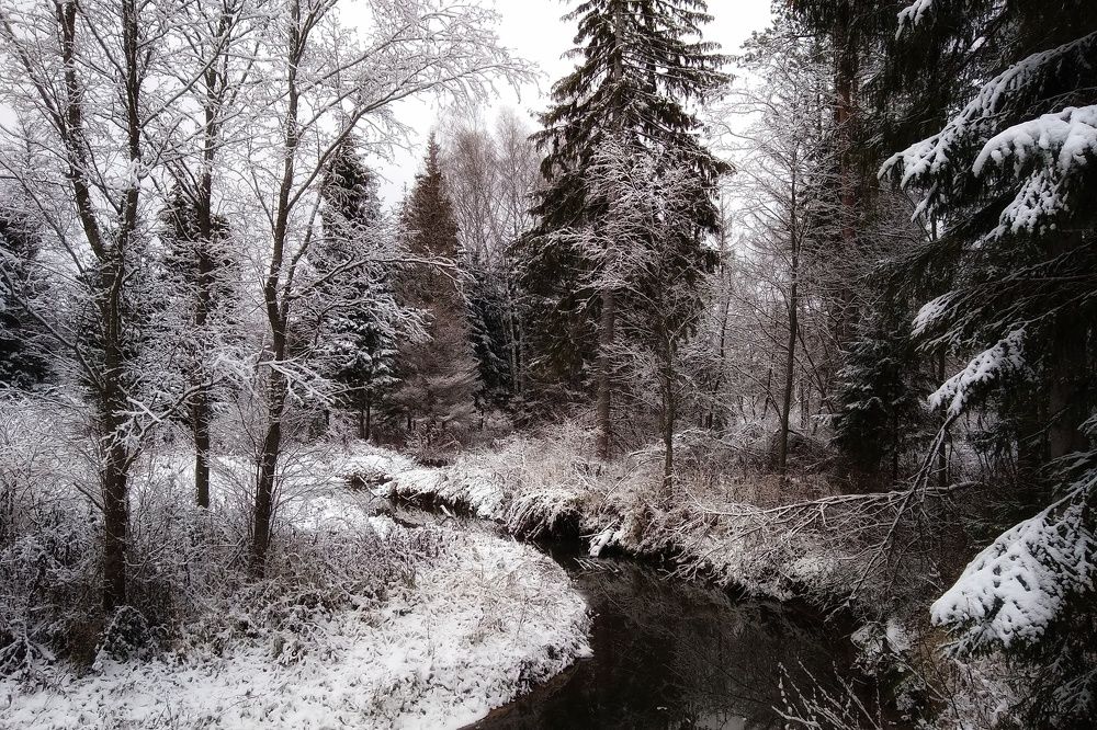 Photograph by Алексей Алексеев