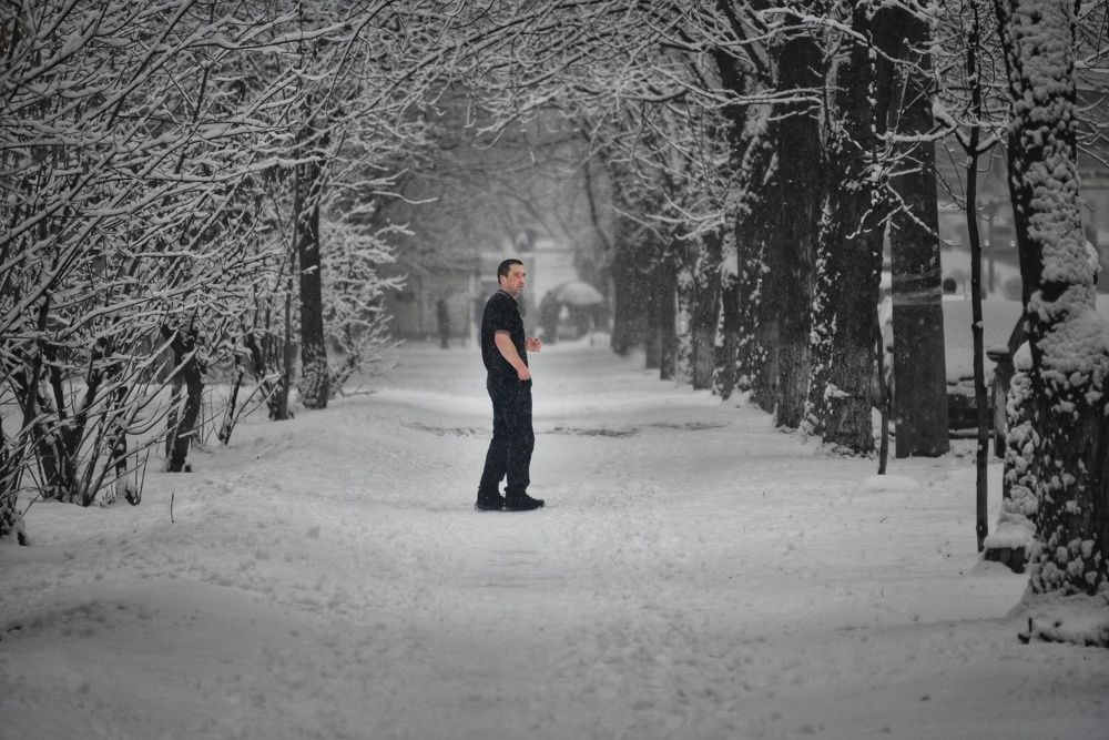 Photograph by Алексей Банас