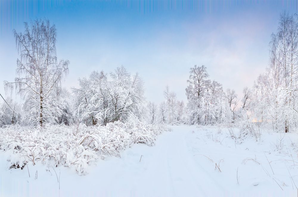 Photograph by Андрей Симаков