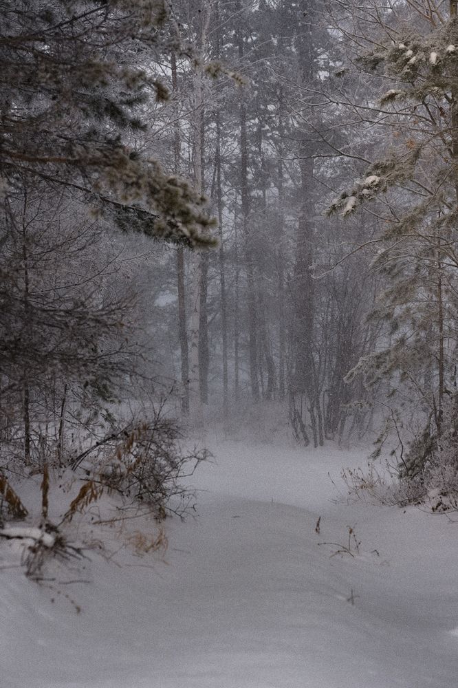 Photograph by Светлана Безлепкина