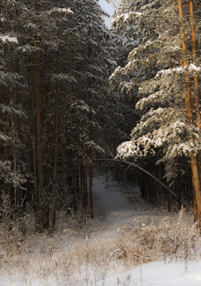 Photograph by Светлана Безлепкина