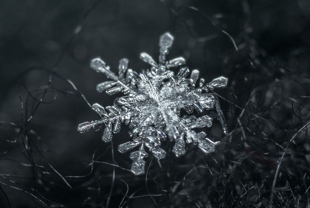 Photograph by Анастасия Киселева