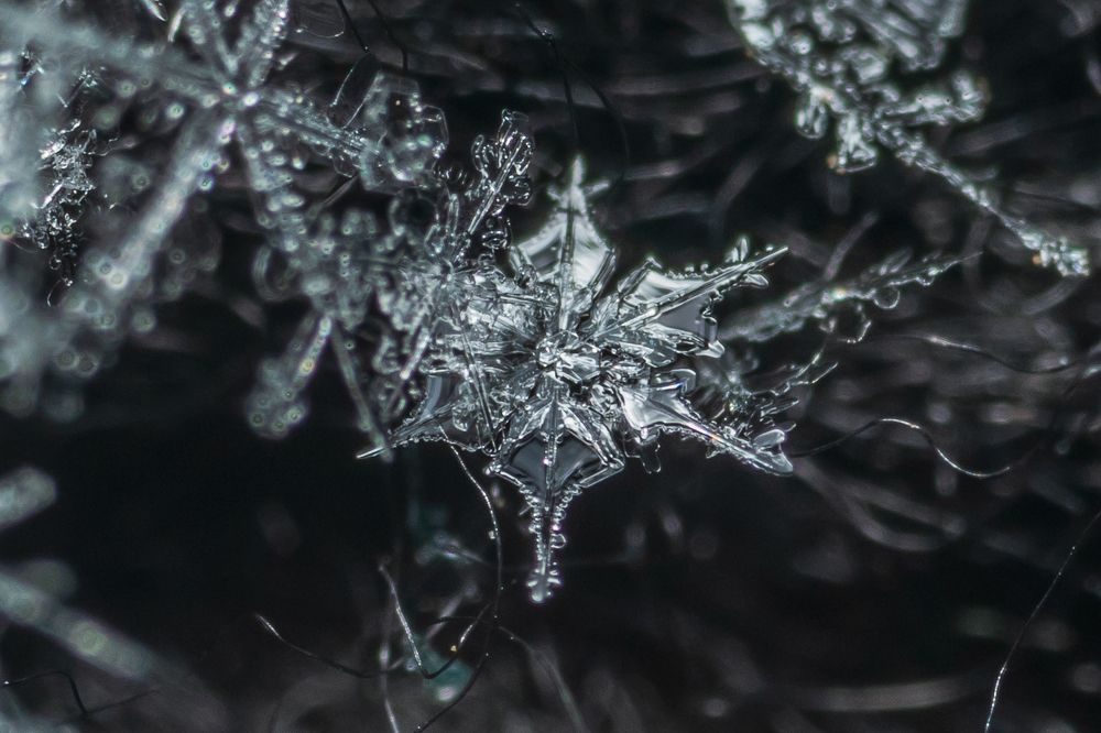 Photograph by Анастасия Киселева