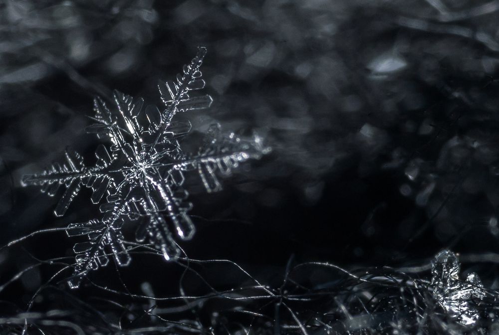 Photograph by Анастасия Киселева