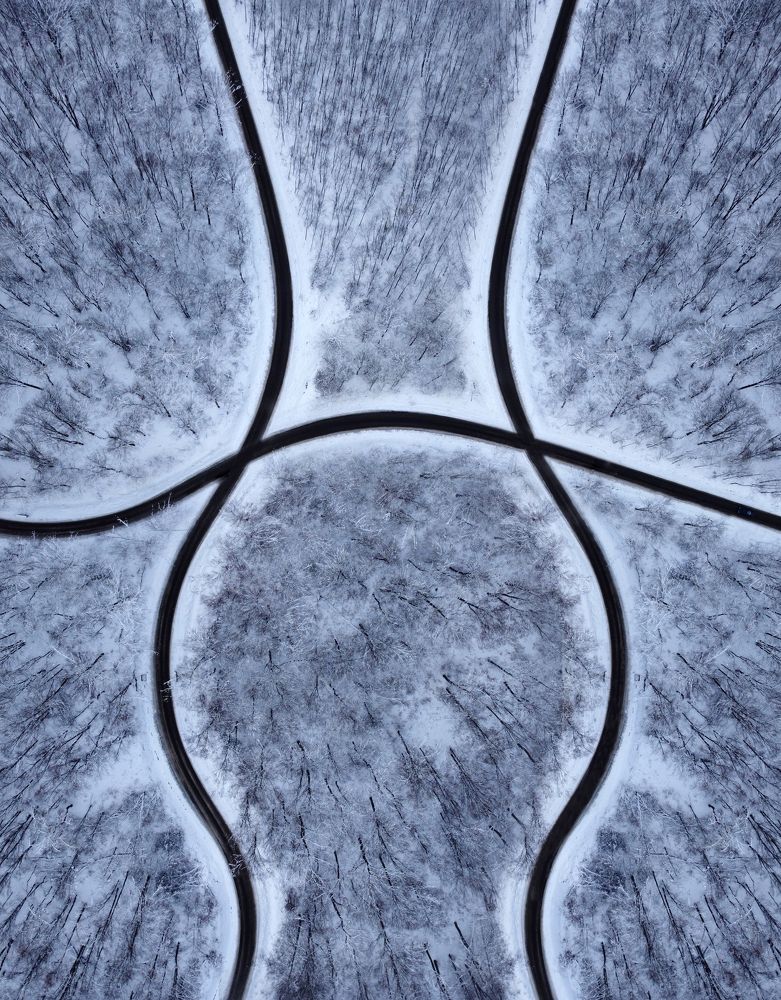 Photograph by Mihai Romeo Bogdan