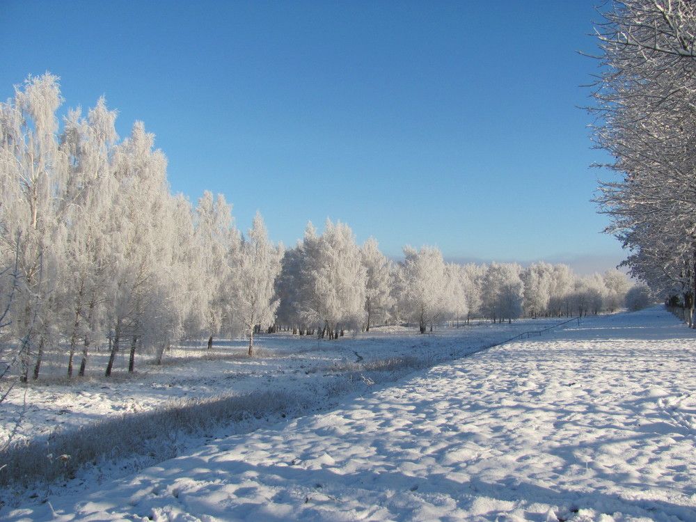 Photograph by Юлия