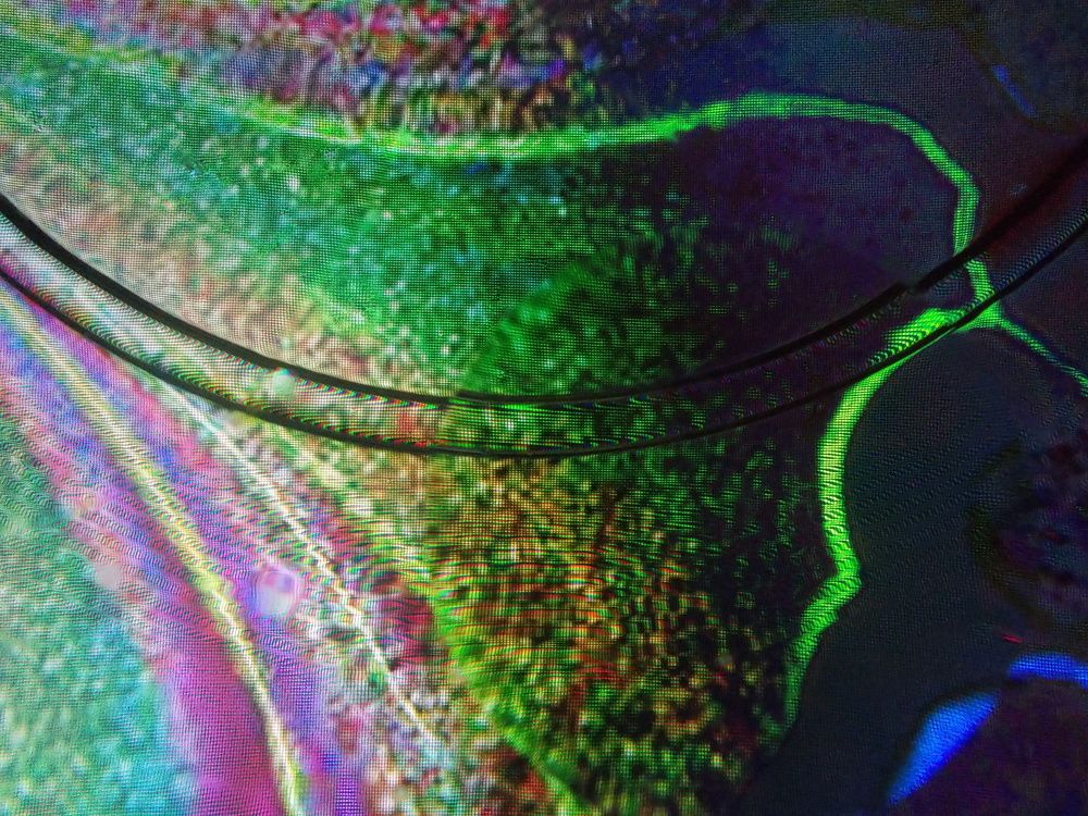 Photograph by José Luis Mendoza Machado