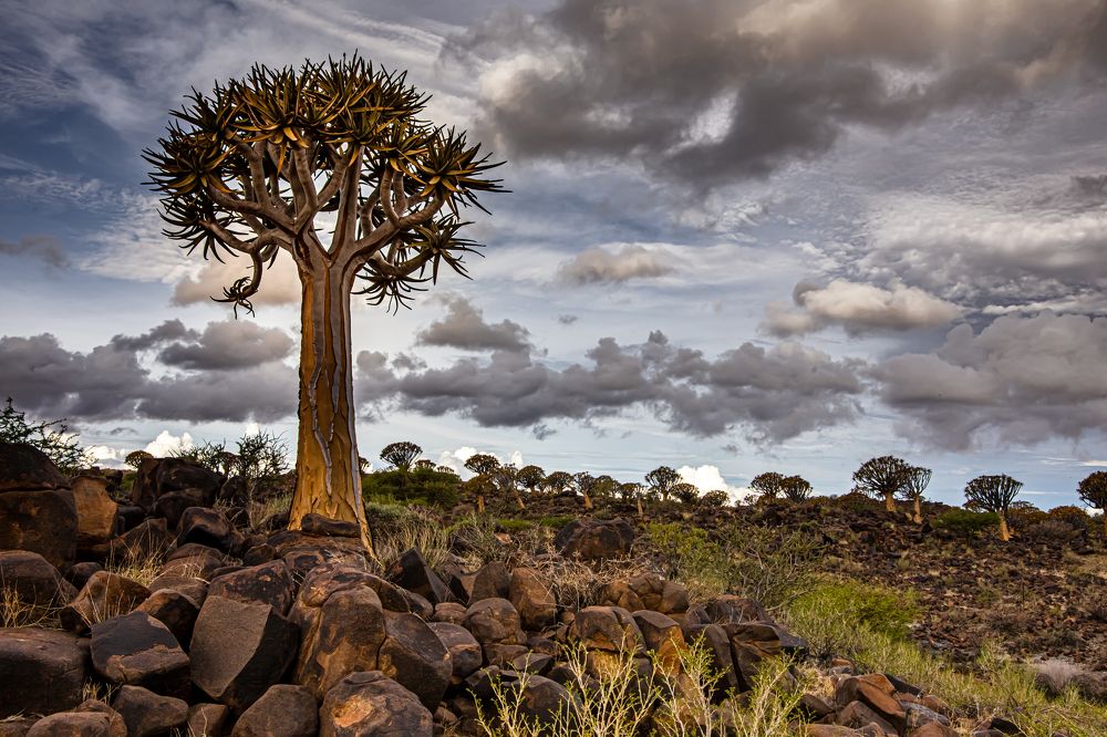 Photograph by Марина Сидоренко