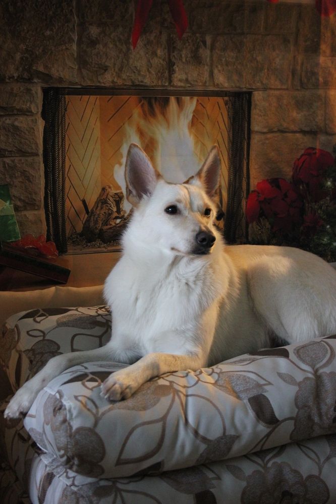 Photograph by Юлия