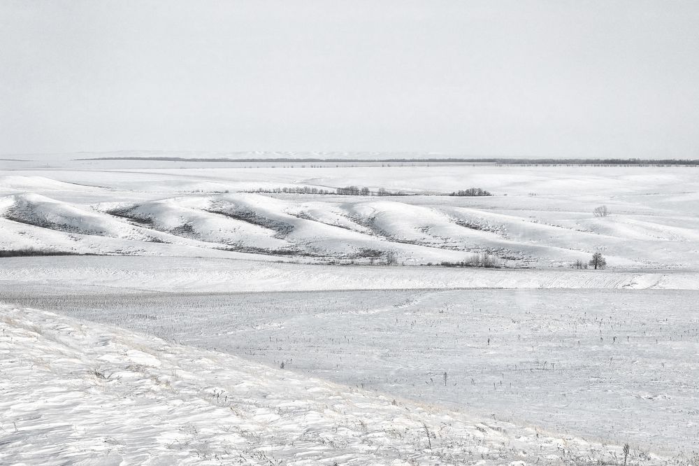 Photograph by Алексей Курочкин