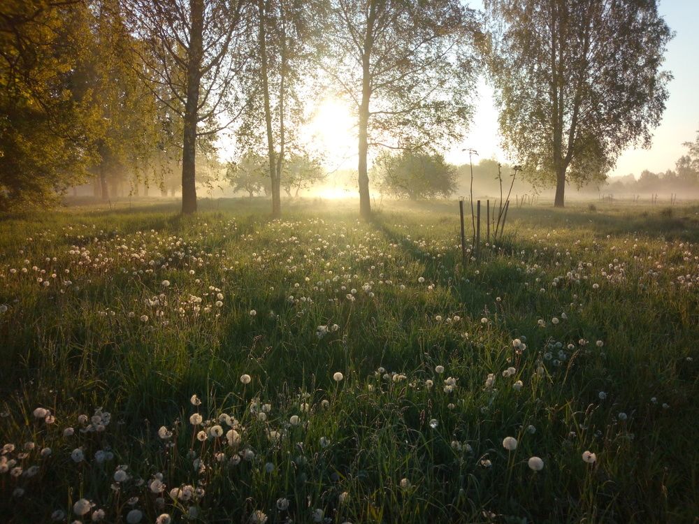 Photograph by Юлия