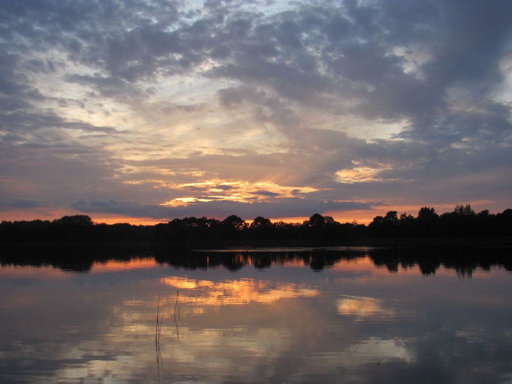 Photograph by Юлия