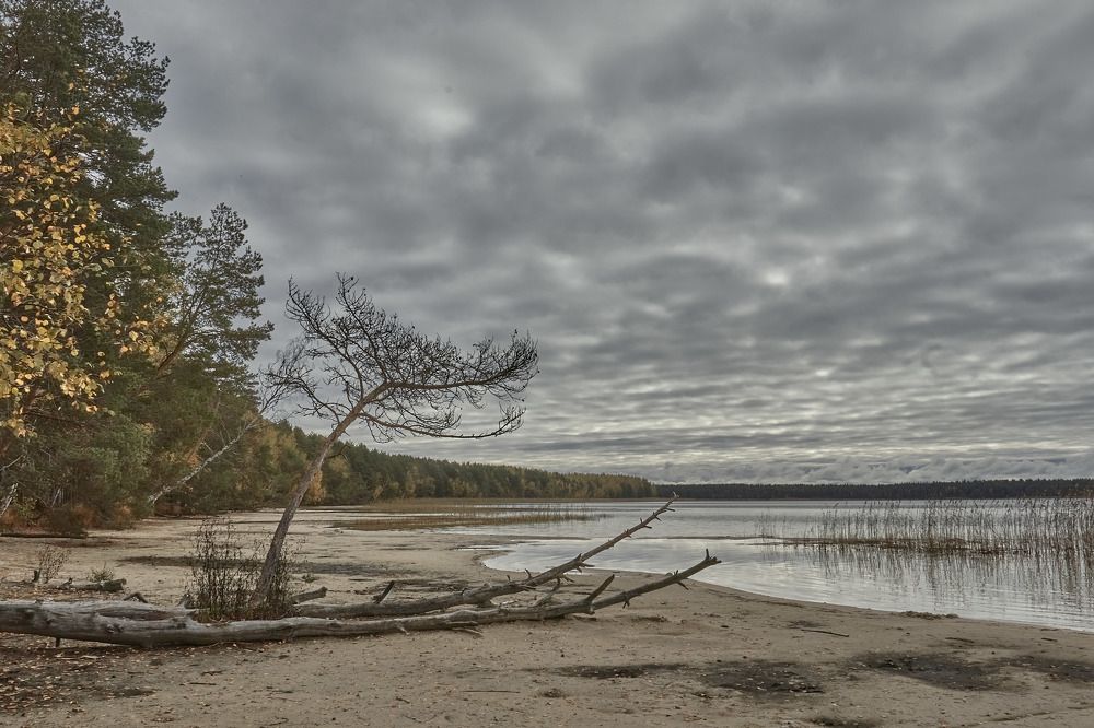 Photograph by Татьяна Полянская