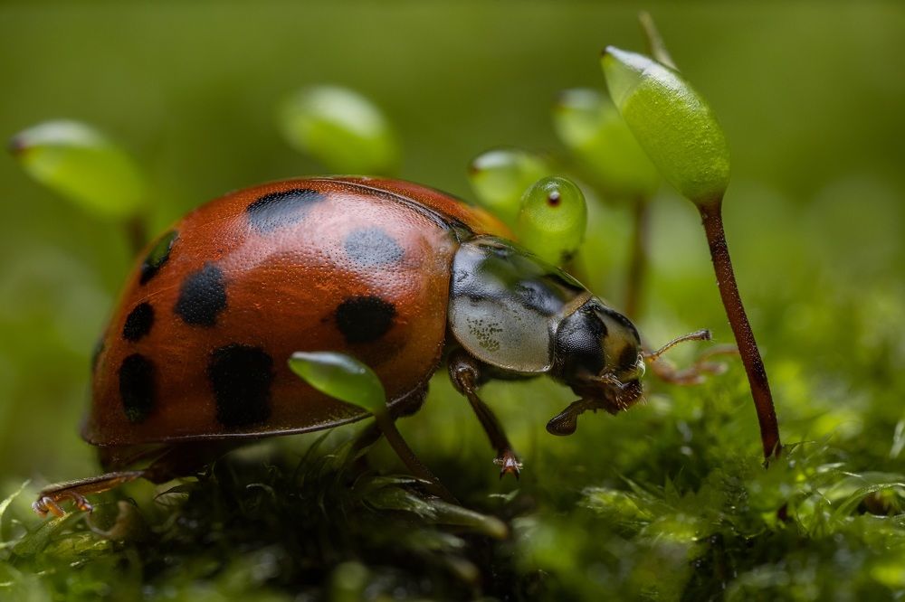 Фотография автора Dolli Pogrebnaya