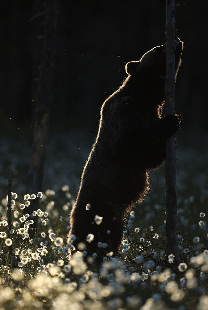 Photograph by Valtteri Mulkahainen