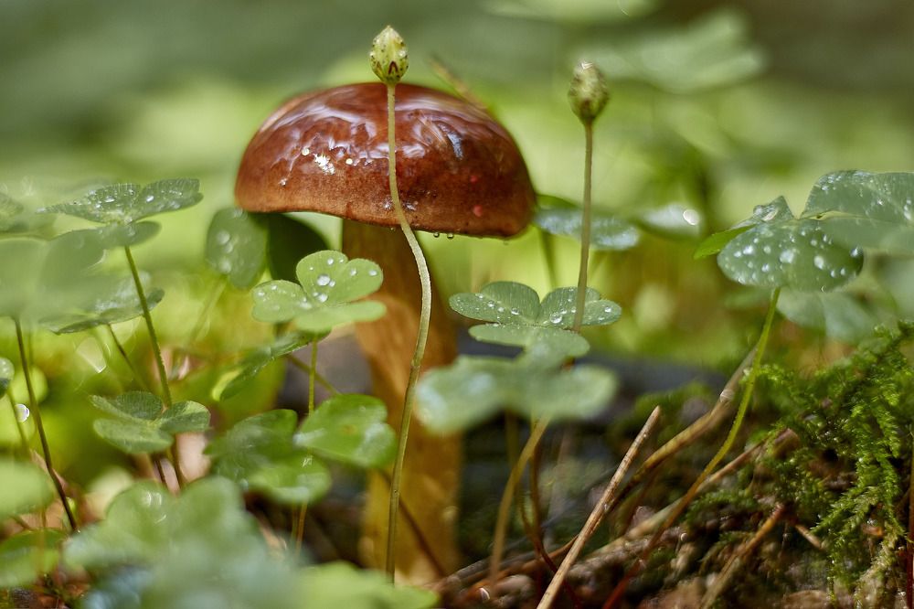 Photograph by Татьяна Полянская