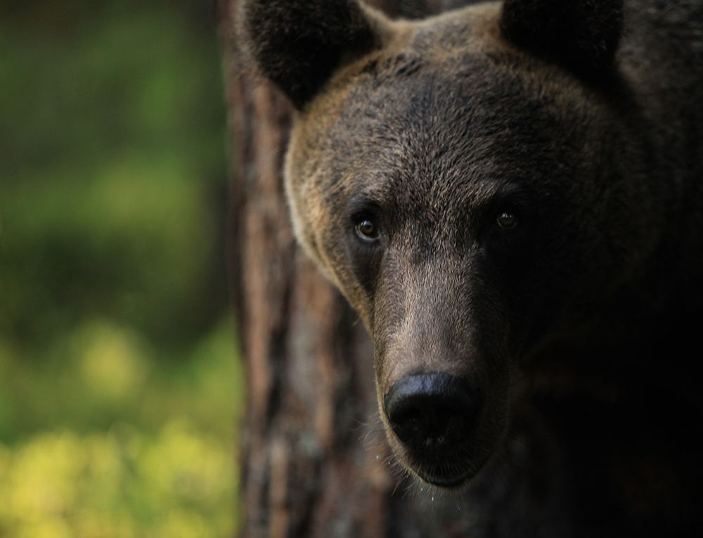 Photograph by Valtteri Mulkahainen