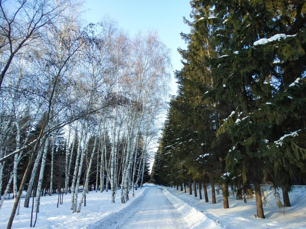 Photograph by Анжелика Трошина