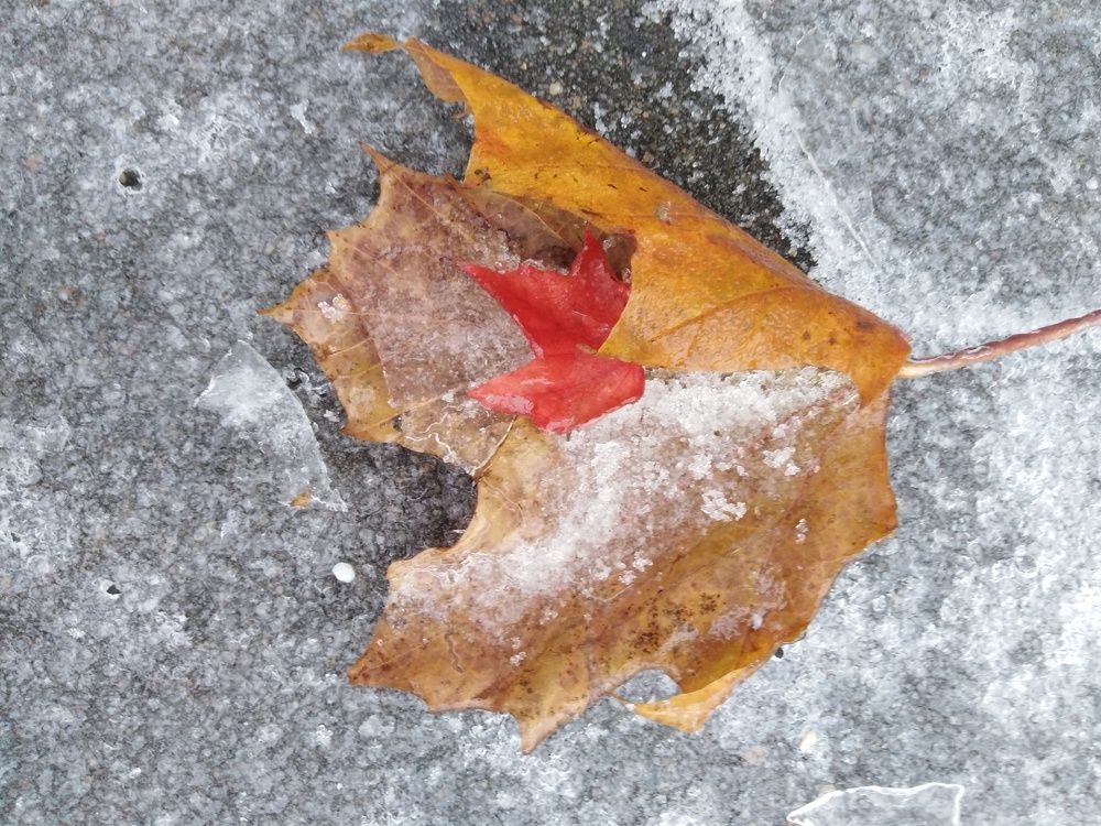 Не бойся,я с тобой...