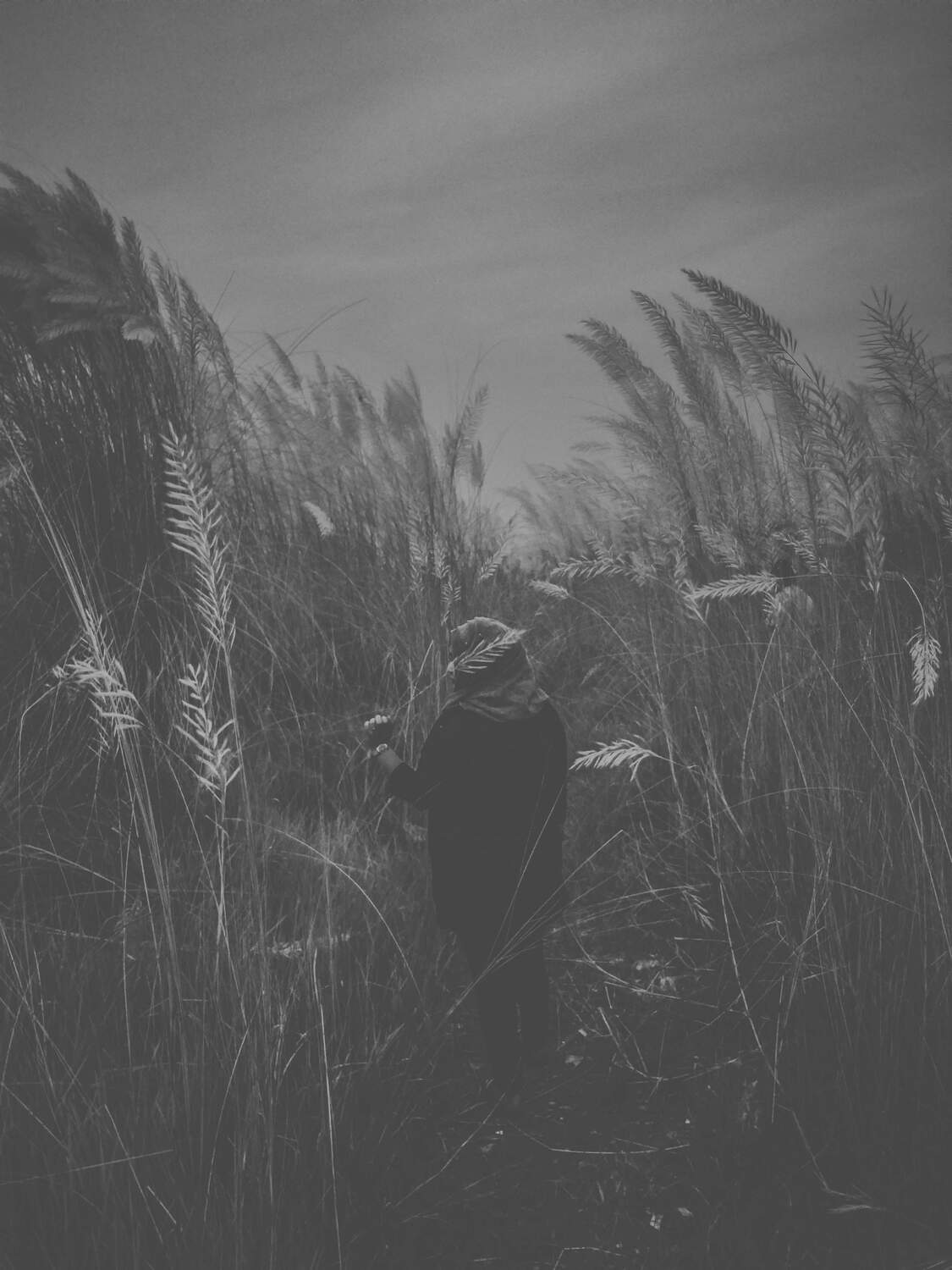 Photo #5561611