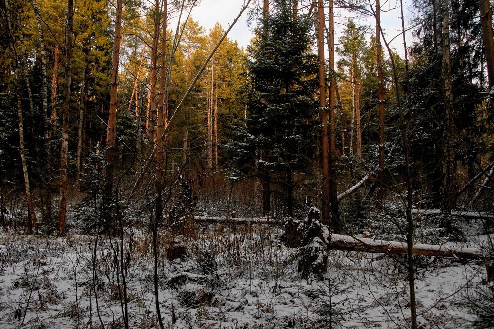 Photograph by Александр Гуреев