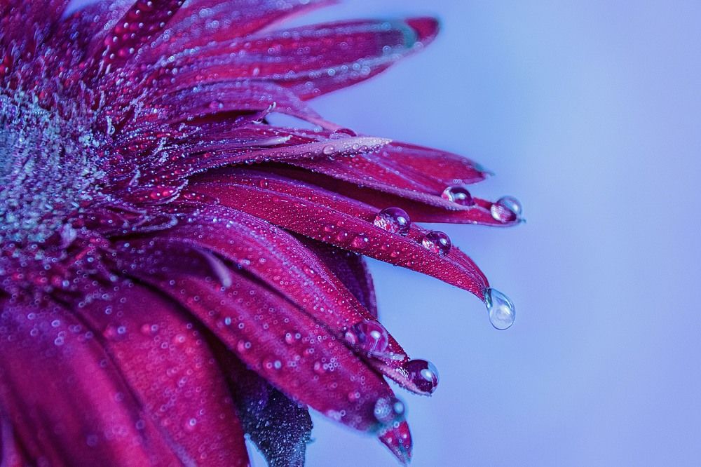 Photograph by Наталья Митрофанова