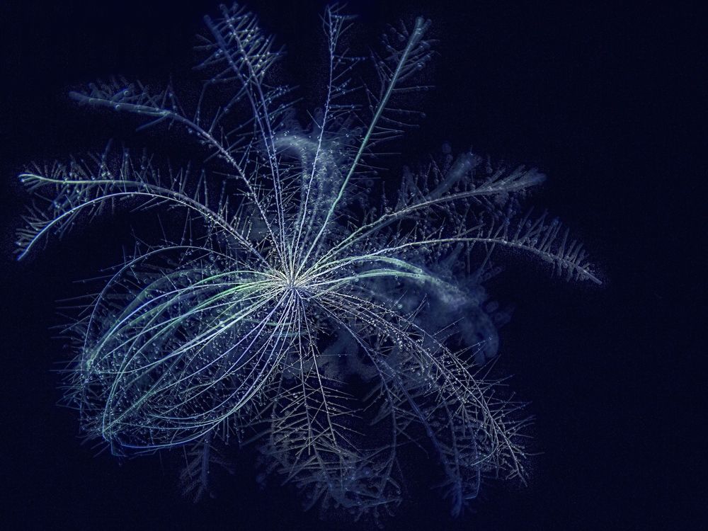 Photograph by Наталья Митрофанова