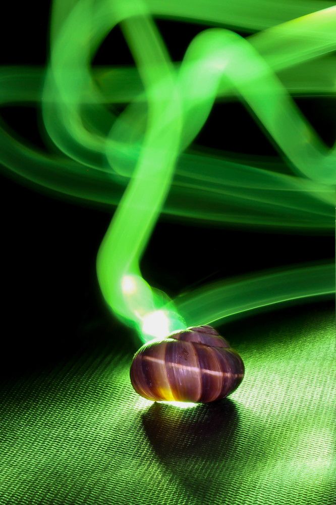 Запах улитки