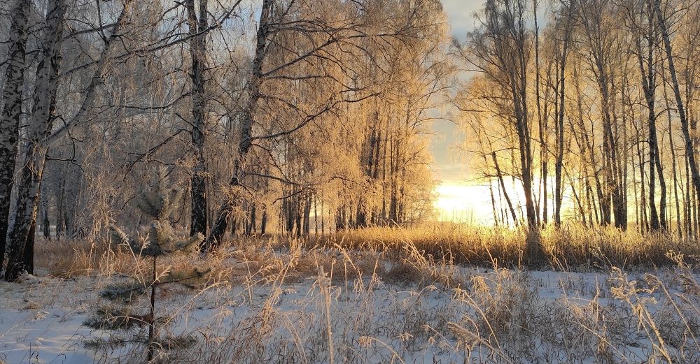 Photo #5561729